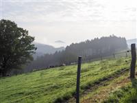 Grevenstein