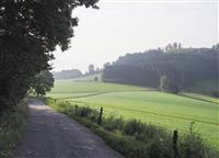Grevenstein