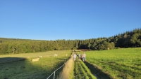 Spessart